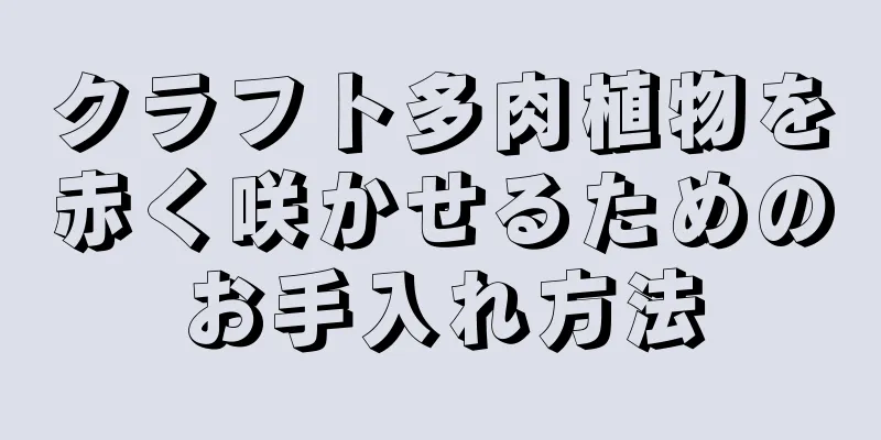 クラフト多肉植物を赤く咲かせるためのお手入れ方法