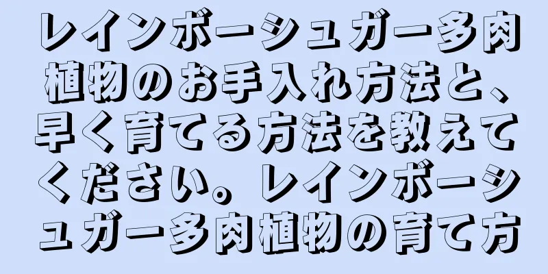 レインボーシュガー多肉植物のお手入れ方法と、早く育てる方法を教えてください。レインボーシュガー多肉植物の育て方