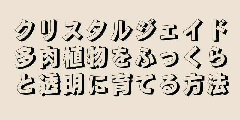 クリスタルジェイド多肉植物をふっくらと透明に育てる方法