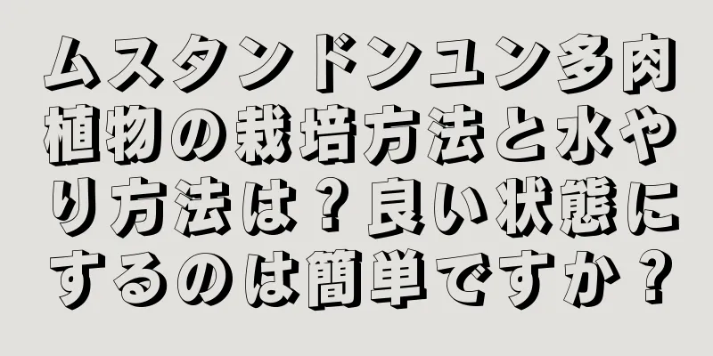 ムスタンドンユン多肉植物の栽培方法と水やり方法は？良い状態にするのは簡単ですか？