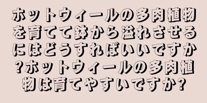ホットウィールの多肉植物を育てて鉢から溢れさせるにはどうすればいいですか?ホットウィールの多肉植物は育てやすいですか?