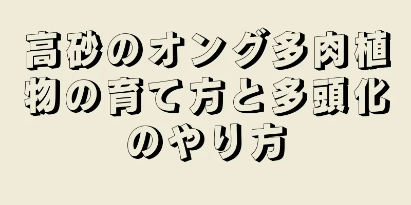 高砂のオング多肉植物の育て方と多頭化のやり方
