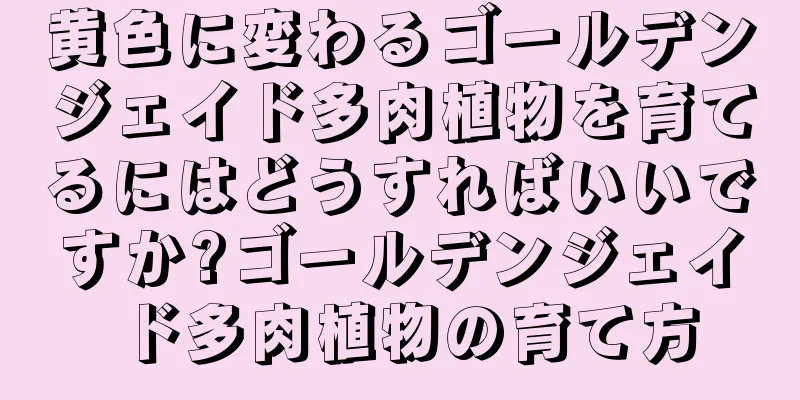 黄色に変わるゴールデンジェイド多肉植物を育てるにはどうすればいいですか?ゴールデンジェイド多肉植物の育て方