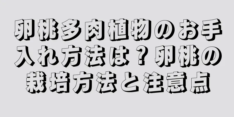 卵桃多肉植物のお手入れ方法は？卵桃の栽培方法と注意点