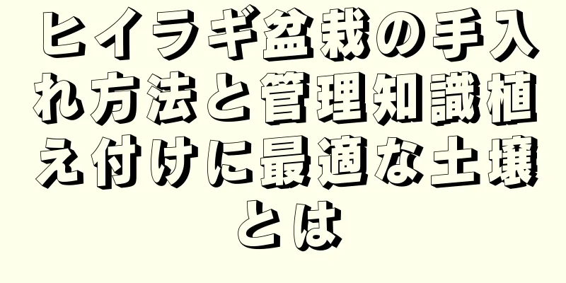 ヒイラギ盆栽の手入れ方法と管理知識植え付けに最適な土壌とは