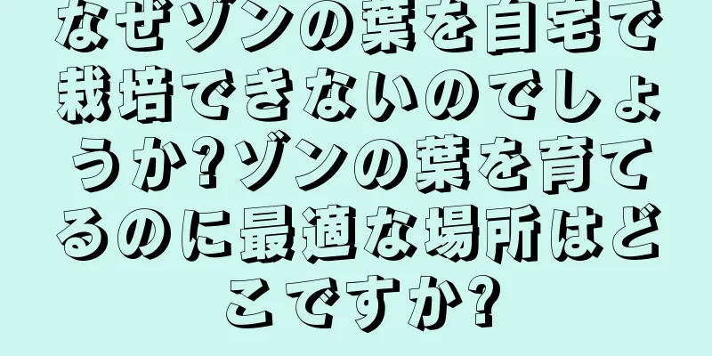なぜゾンの葉を自宅で栽培できないのでしょうか?ゾンの葉を育てるのに最適な場所はどこですか?