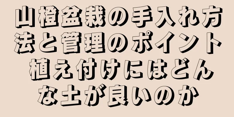 山橙盆栽の手入れ方法と管理のポイント 植え付けにはどんな土が良いのか