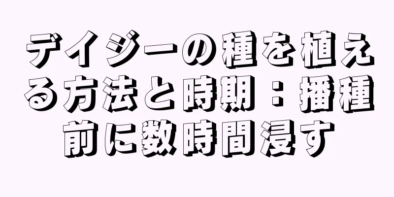 デイジーの種を植える方法と時期：播種前に数時間浸す