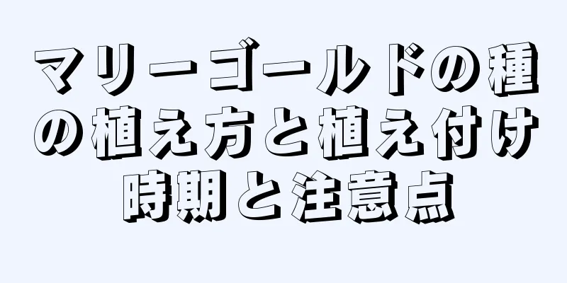 マリーゴールドの種の植え方と植え付け時期と注意点