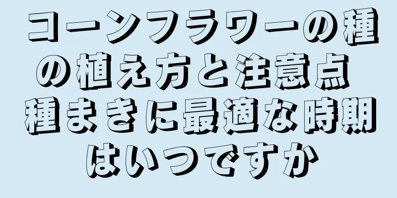 コーンフラワーの種の植え方と注意点 種まきに最適な時期はいつですか