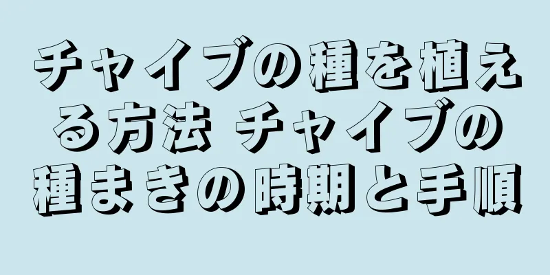 チャイブの種を植える方法 チャイブの種まきの時期と手順