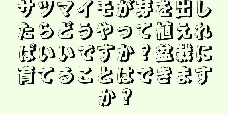 サツマイモが芽を出したらどうやって植えればいいですか？盆栽に育てることはできますか？