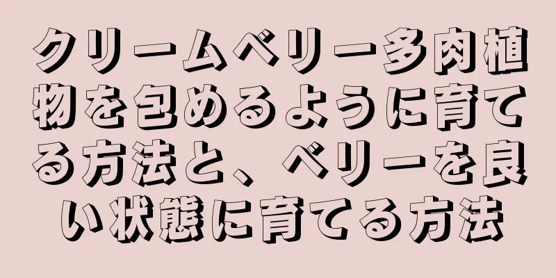 クリームベリー多肉植物を包めるように育てる方法と、ベリーを良い状態に育てる方法