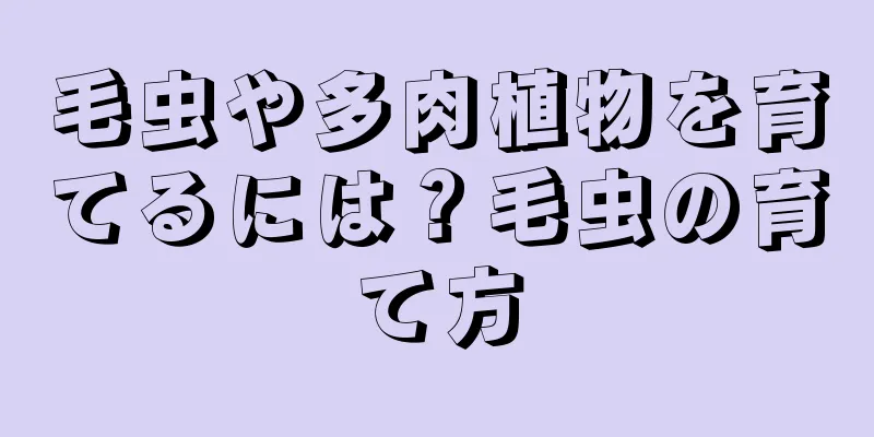 毛虫や多肉植物を育てるには？毛虫の育て方