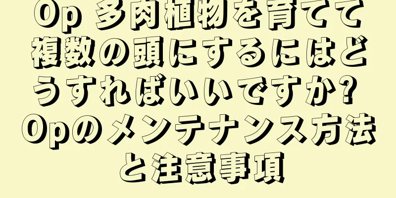 Op 多肉植物を育てて複数の頭にするにはどうすればいいですか? Opのメンテナンス方法と注意事項
