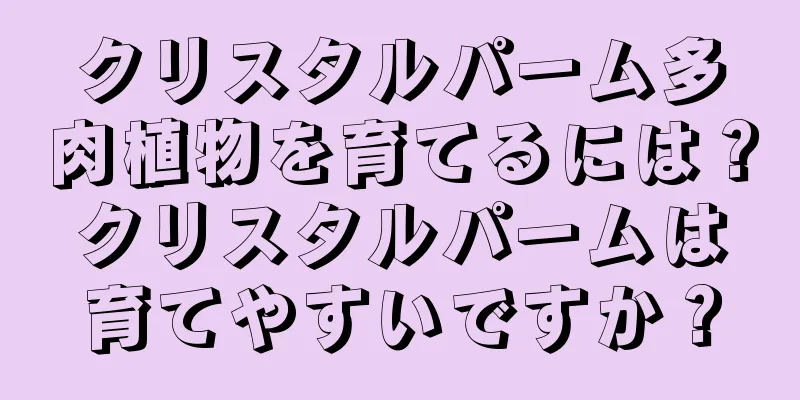 クリスタルパーム多肉植物を育てるには？クリスタルパームは育てやすいですか？