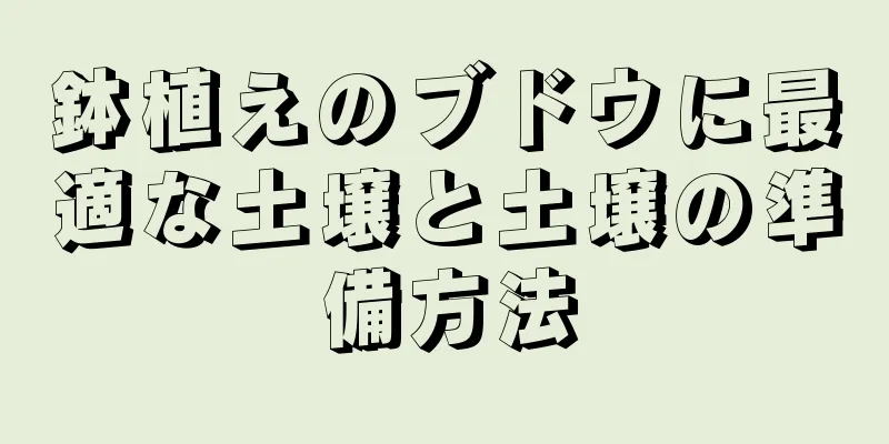 鉢植えのブドウに最適な土壌と土壌の準備方法