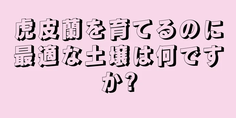 虎皮蘭を育てるのに最適な土壌は何ですか?