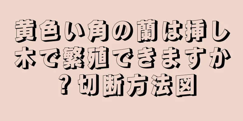 黄色い角の蘭は挿し木で繁殖できますか？切断方法図