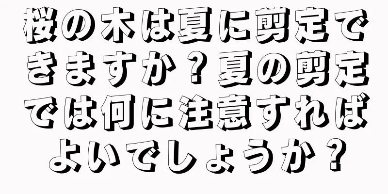 桜の木は夏に剪定できますか？夏の剪定では何に注意すればよいでしょうか？