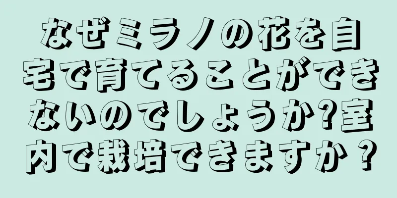 なぜミラノの花を自宅で育てることができないのでしょうか?室内で栽培できますか？