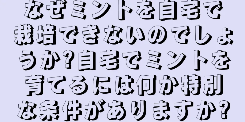 なぜミントを自宅で栽培できないのでしょうか?自宅でミントを育てるには何か特別な条件がありますか?