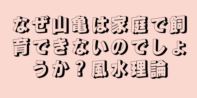 なぜ山亀は家庭で飼育できないのでしょうか？風水理論