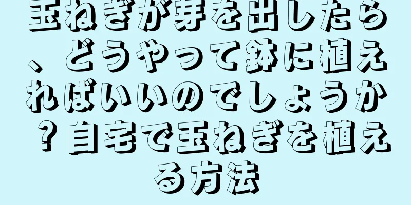玉ねぎが芽を出したら、どうやって鉢に植えればいいのでしょうか？自宅で玉ねぎを植える方法
