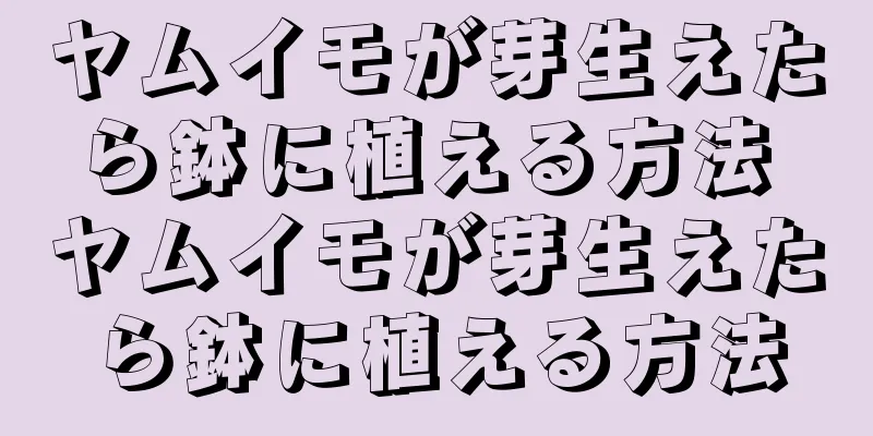 ヤムイモが芽生えたら鉢に植える方法 ヤムイモが芽生えたら鉢に植える方法