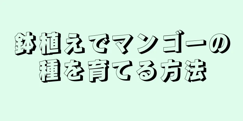 鉢植えでマンゴーの種を育てる方法