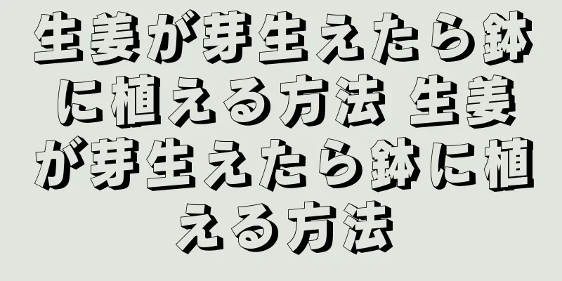 生姜が芽生えたら鉢に植える方法 生姜が芽生えたら鉢に植える方法