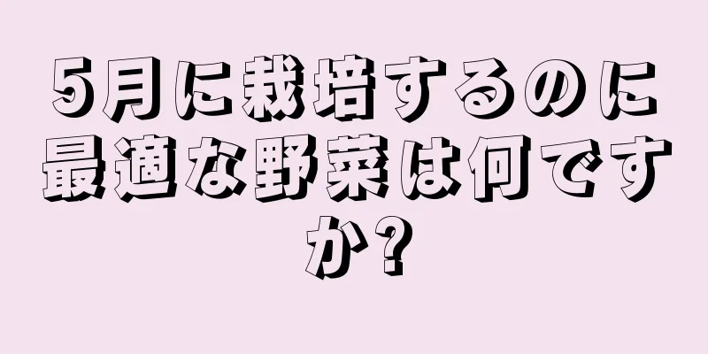 5月に栽培するのに最適な野菜は何ですか?