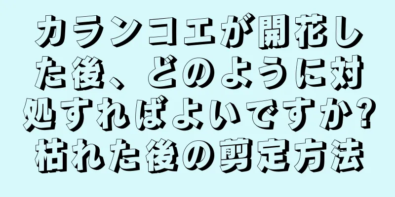 カランコエが開花した後、どのように対処すればよいですか?枯れた後の剪定方法
