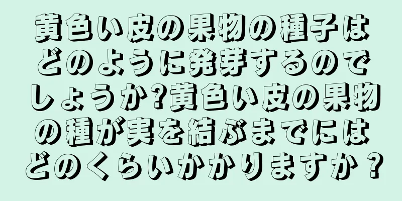 黄色い皮の果物の種子はどのように発芽するのでしょうか?黄色い皮の果物の種が実を結ぶまでにはどのくらいかかりますか？
