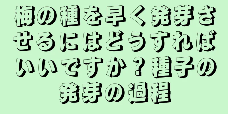 梅の種を早く発芽させるにはどうすればいいですか？種子の発芽の過程