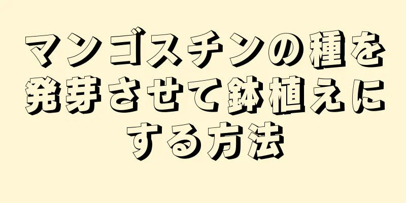 マンゴスチンの種を発芽させて鉢植えにする方法