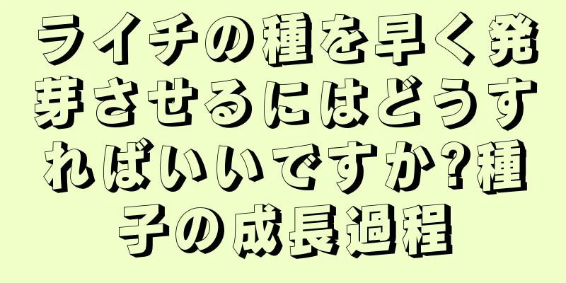 ライチの種を早く発芽させるにはどうすればいいですか?種子の成長過程