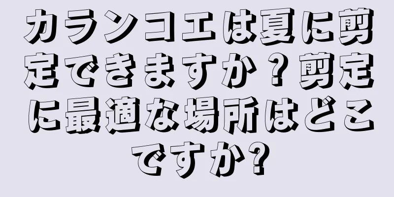 カランコエは夏に剪定できますか？剪定に最適な場所はどこですか?