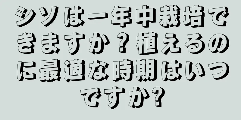 シソは一年中栽培できますか？植えるのに最適な時期はいつですか?