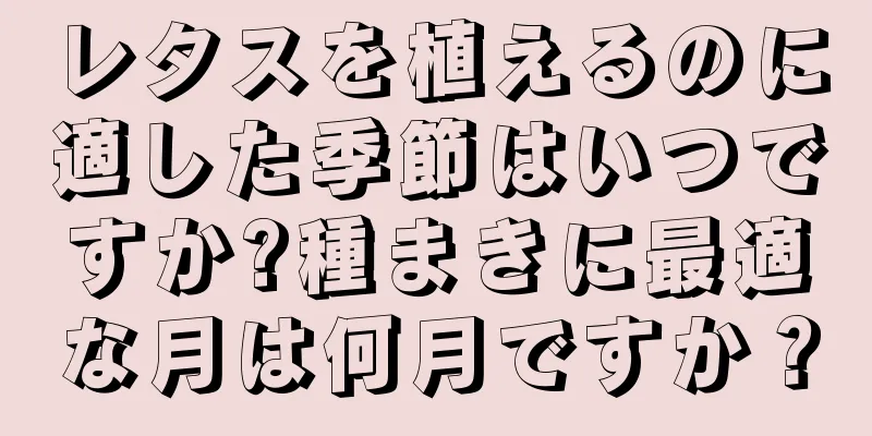 レタスを植えるのに適した季節はいつですか?種まきに最適な月は何月ですか？