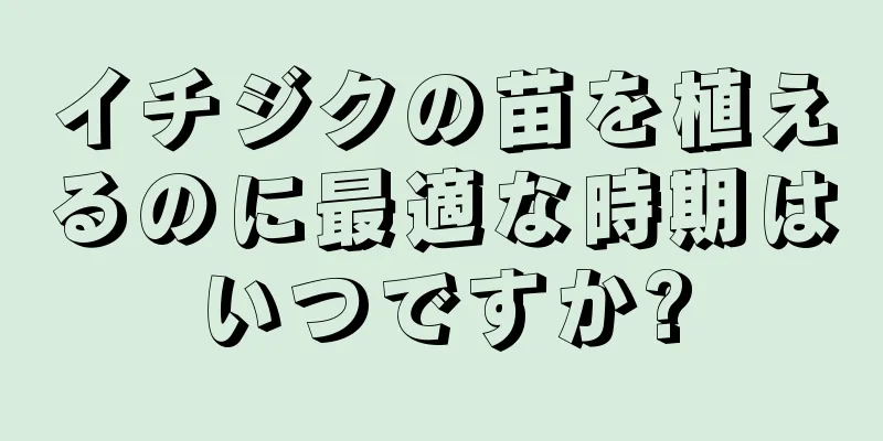 イチジクの苗を植えるのに最適な時期はいつですか?