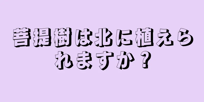 菩提樹は北に植えられますか？