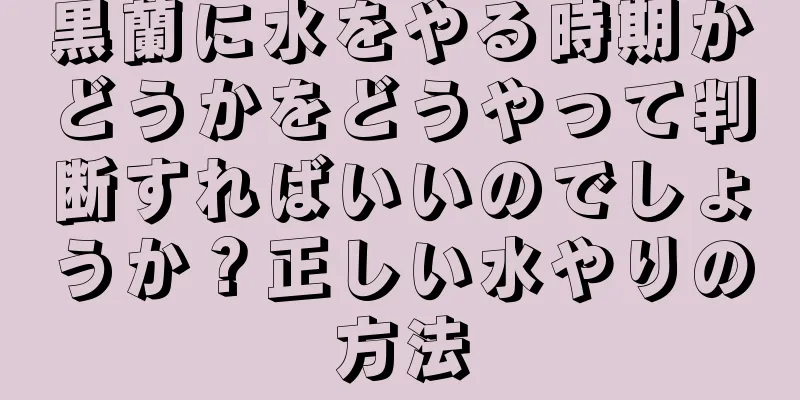 黒蘭に水をやる時期かどうかをどうやって判断すればいいのでしょうか？正しい水やりの方法