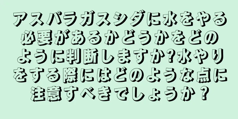 アスパラガスシダに水をやる必要があるかどうかをどのように判断しますか?水やりをする際にはどのような点に注意すべきでしょうか？