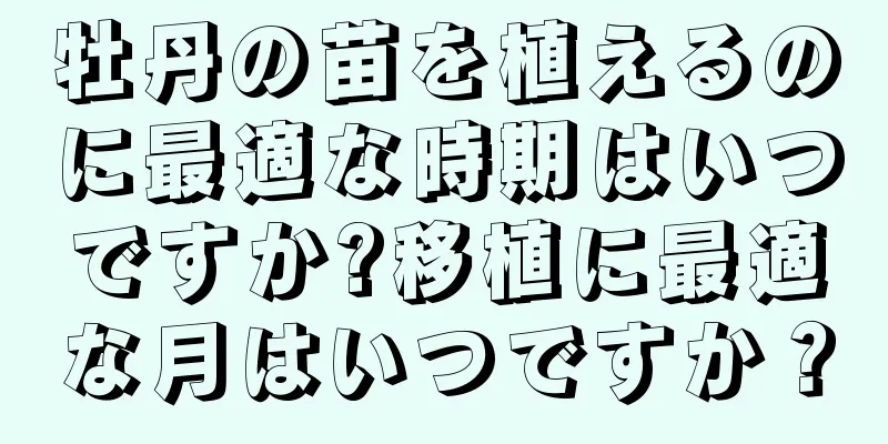 牡丹の苗を植えるのに最適な時期はいつですか?移植に最適な月はいつですか？