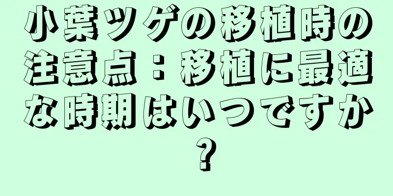 小葉ツゲの移植時の注意点：移植に最適な時期はいつですか？