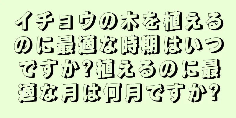 イチョウの木を植えるのに最適な時期はいつですか?植えるのに最適な月は何月ですか?