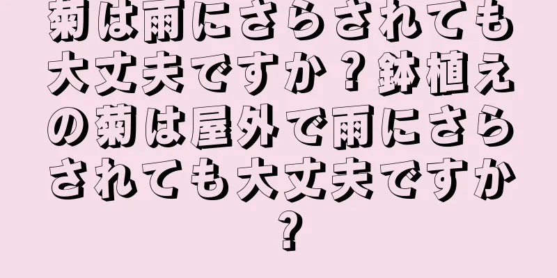 菊は雨にさらされても大丈夫ですか？鉢植えの菊は屋外で雨にさらされても大丈夫ですか？