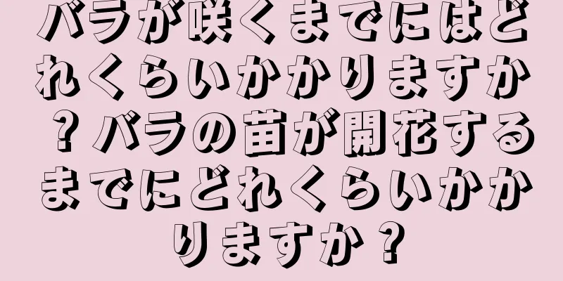 バラが咲くまでにはどれくらいかかりますか？バラの苗が開花するまでにどれくらいかかりますか？