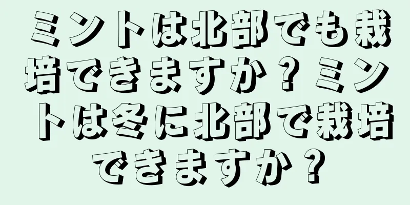 ミントは北部でも栽培できますか？ミントは冬に北部で栽培できますか？